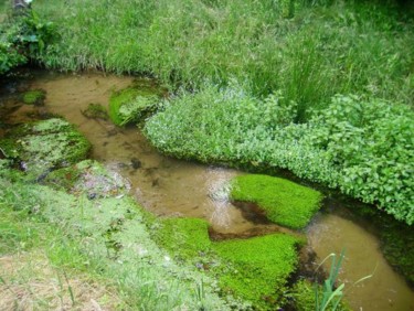 Photographie intitulée "ruisseau" par Aquartistiq, Œuvre d'art originale