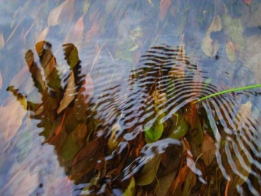 "ruisseau" başlıklı Fotoğraf Aquartistiq tarafından, Orijinal sanat