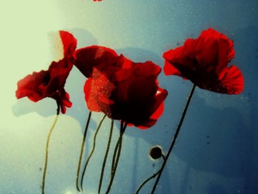 Fotografie getiteld "fleurs rouges...." door Aquartistiq, Origineel Kunstwerk, Digitale fotografie