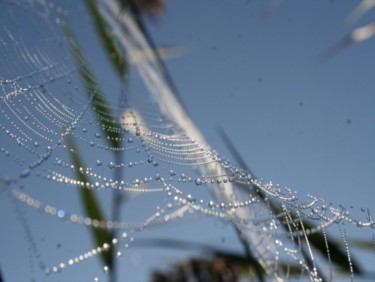 Photographie intitulée "perles matinales" par Aquartistiq, Œuvre d'art originale