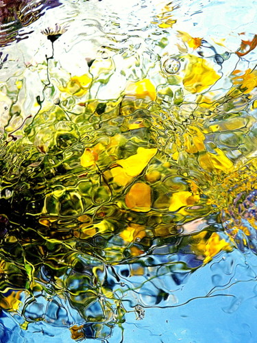 Photographie intitulée "boutons d'or" par Aquartistiq, Œuvre d'art originale, Photographie numérique