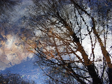 Photographie intitulée "arbre dans l'eau" par Aquartistiq, Œuvre d'art originale, Photographie numérique