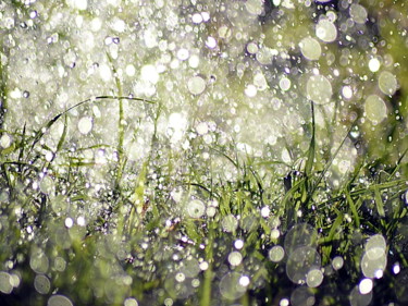 Photographie intitulée "pluie et herbe" par Aquartistiq, Œuvre d'art originale, Photographie numérique
