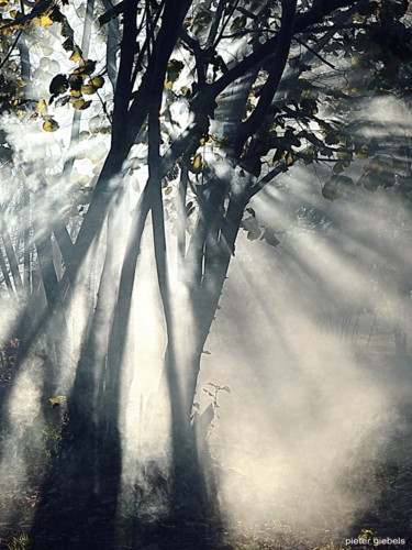 Photography titled "brouillard arbres" by Aquartistiq, Original Artwork, Digital Photography