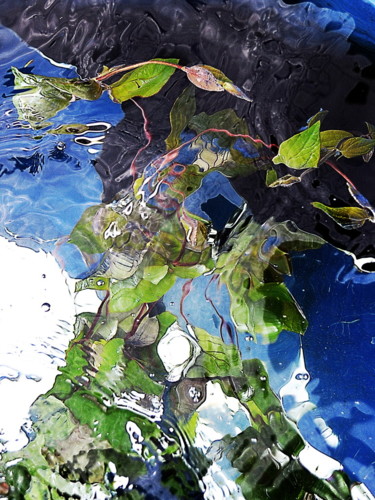 Photographie intitulée "clematite.." par Aquartistiq, Œuvre d'art originale, Photographie numérique