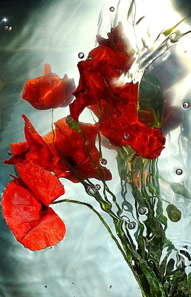 Photographie intitulée "poppies......." par Aquartistiq, Œuvre d'art originale, Photographie numérique