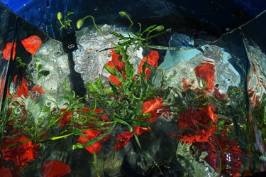 Photographie intitulée "vert et  rouge" par Aquartistiq, Œuvre d'art originale, Photographie numérique