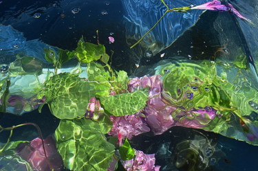Photographie intitulée "vert violet" par Aquartistiq, Œuvre d'art originale, Photographie numérique