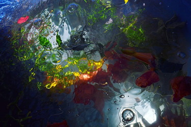 Photographie intitulée "bignone et eau" par Aquartistiq, Œuvre d'art originale, Photographie numérique