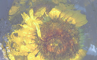Fotografie mit dem Titel "sun flower" von Aquartistiq, Original-Kunstwerk, Digitale Fotografie