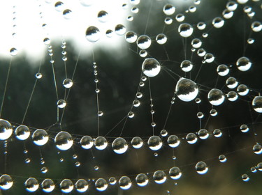 Photographie intitulée "toile de perles" par Aquartistiq, Œuvre d'art originale, Photographie numérique