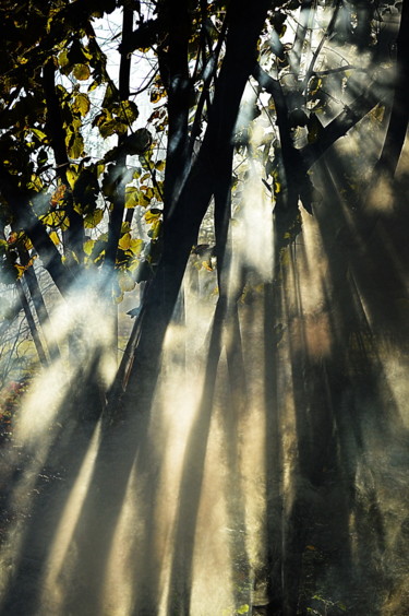 Photographie intitulée "soleil et brouillar…" par Aquartistiq, Œuvre d'art originale, Photographie numérique