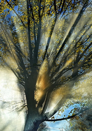 Photographie intitulée "éclats de lumiere..." par Aquartistiq, Œuvre d'art originale, Photographie numérique