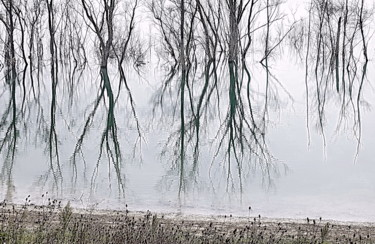 Photographie intitulée "eau et reflets" par Aquartistiq, Œuvre d'art originale, Photographie numérique