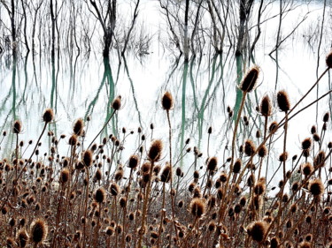 Photographie intitulée "lac et reflets" par Aquartistiq, Œuvre d'art originale, Photographie numérique