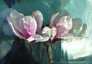 Photographie intitulée "deux fleurs." par Aquartistiq, Œuvre d'art originale, Photographie numérique