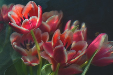 Photographie intitulée "tulipes floues" par Aquartistiq, Œuvre d'art originale, Photographie numérique