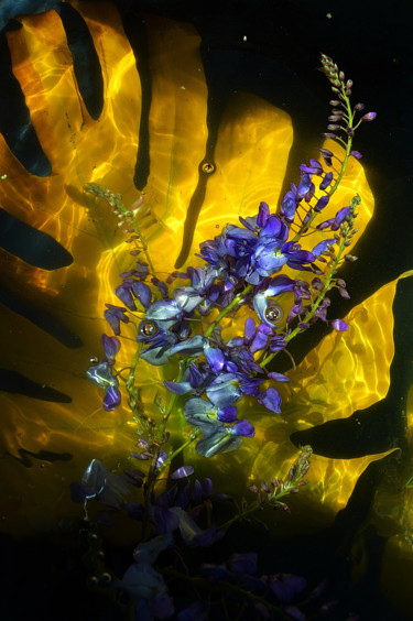Photographie intitulée "feuille et fleurs" par Aquartistiq, Œuvre d'art originale, Photographie numérique