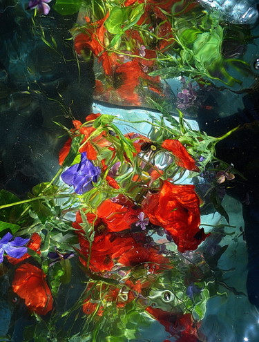Fotografia intitulada "fleurss" por Aquartistiq, Obras de arte originais, Fotografia digital