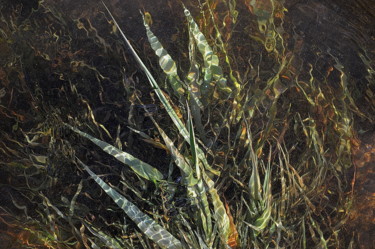 Fotografia intitolato "herbe et eau" da Aquartistiq, Opera d'arte originale, Fotografia digitale