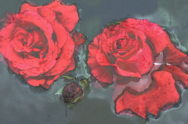 Photographie intitulée "deux roses" par Aquartistiq, Œuvre d'art originale, Photographie numérique