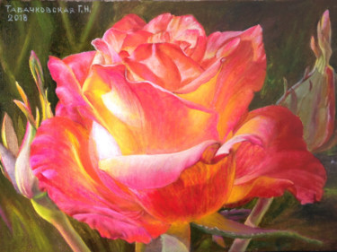 Painting titled "Роза. В лучах заход…" by Tabachkovskaia, Original Artwork, Oil