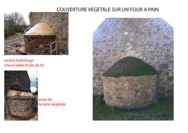 Photographie intitulée "Couverture végétale…" par Arpb Arc'Had, Œuvre d'art originale