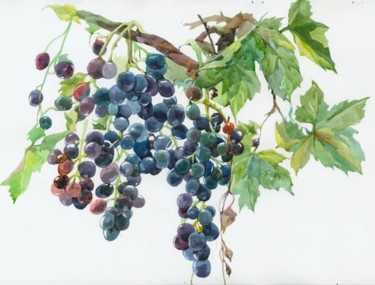 Картина под названием "Виноград на ветке" - Светлана Арефьева, Подлинное произведение искусства, Акварель