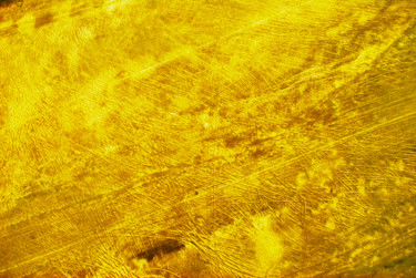 Photographie intitulée "Nazca lignes" par Mohadib', Œuvre d'art originale, Photographie numérique