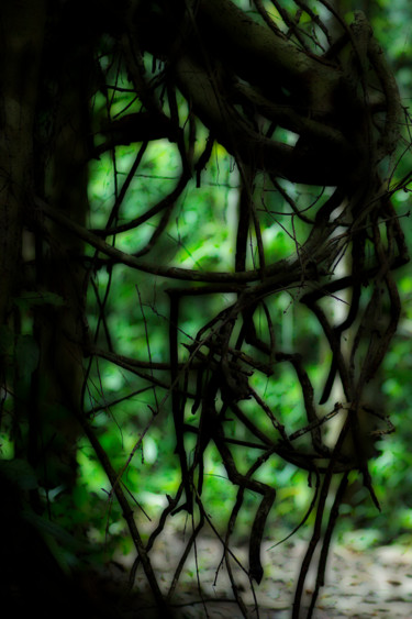 Fotografia intitulada "Aya Lianes" por Mohadib', Obras de arte originais