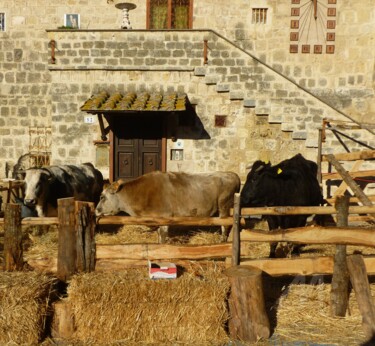 Fotografia intitolato "La maison des vaches" da Marina Argentini, Opera d'arte originale