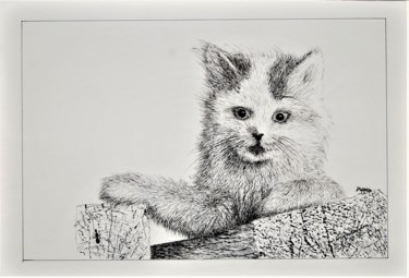 Zeichnungen mit dem Titel "Kissa ja muurahainen" von Ari Reinikainen, Original-Kunstwerk, Tinte