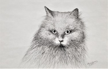 "Vihainen kissa" başlıklı Resim Ari Reinikainen tarafından, Orijinal sanat, Mürekkep