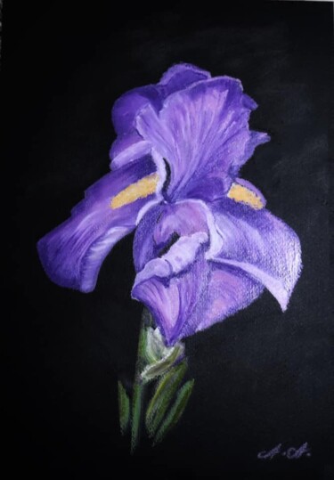 Schilderij getiteld "Iris" door Aria Artis, Origineel Kunstwerk, Krijt