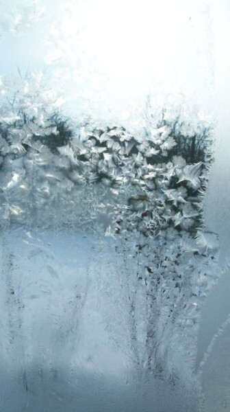 Фотография под названием "Узоры на окне.Цветы…" - Ariadna, Подлинное произведение искусства
