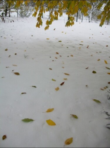 Фотография под названием "Перший сніг.Листя ч…" - Ariadna, Подлинное произведение искусства