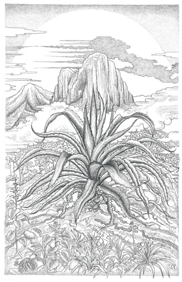 Dessin intitulée "agave poderoso  -th…" par Ariel Valencia Navarro, Œuvre d'art originale, Stylo gel