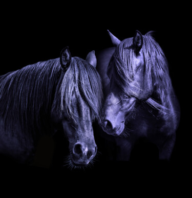 Fotografie getiteld "Horses. Portrait ,…" door Arija Paikule, Origineel Kunstwerk, Gemanipuleerde fotografie