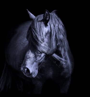 Fotografía titulada "Horse head. Portrai…" por Arija Paikule, Obra de arte original, Fotografía manipulada