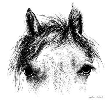 Arte digitale intitolato "Animal, horse eyes…" da Arija Paikule, Opera d'arte originale, Lavoro digitale 2D