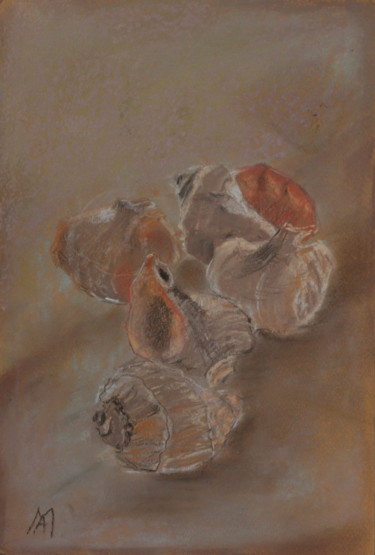 Pintura intitulada "Shells (Coquilles)…" por Arina Ioana Muntean, Obras de arte originais, Pastel
