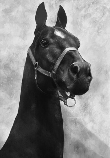 Painting titled "Horse" by Arina Safyanova, Original Artwork, Graphite