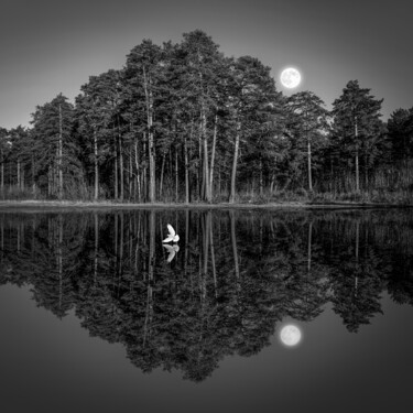 Photography titled "Лунная ночь" by Arkadii Smirnov, Original Artwork, Digital Photography