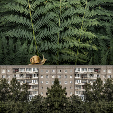 Photography titled "Улитка" by Arkadii Smirnov, Original Artwork, Manipulated Photography