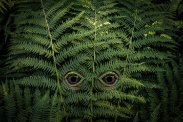 Photographie intitulée "Лесной дух" par Arkadii Smirnov, Œuvre d'art originale, Photographie manipulée