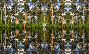 Фотография под названием "Май в зеркалах" - Аркадий Смирнов, Подлинное произведение искусства, Манипулированная фотография