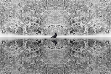 Photographie intitulée "In black and white" par Arkadii Smirnov, Œuvre d'art originale, Photographie manipulée