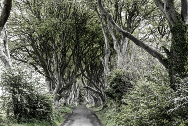 Fotografie getiteld "The Dark Hedges" door Arkadiusz Gepchard, Origineel Kunstwerk, Digitale fotografie