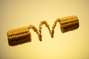 Fotografie getiteld "Corn" door Arkadiusz Gepchard, Origineel Kunstwerk, Digitale fotografie