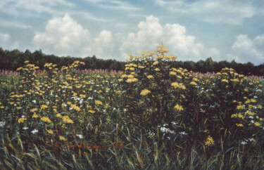 Peinture intitulée "Field with tansy bu…" par Arkady Paransky, Œuvre d'art originale, Pastel